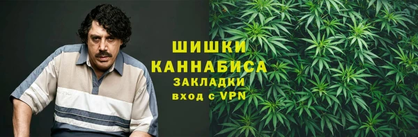 гашик Володарск