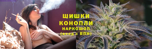 крисы Вязники